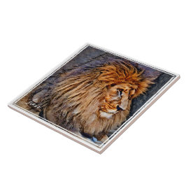 ラ イ オ ン タ イ ル KAKELPLATTA