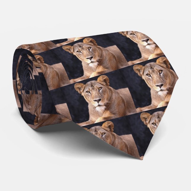 ラ イ オ ン SLIPS (Rullad)