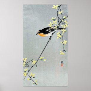 レ ン ギ ョ 小 bud, bud, Bird on Forsythia, Ohara Koson Poster