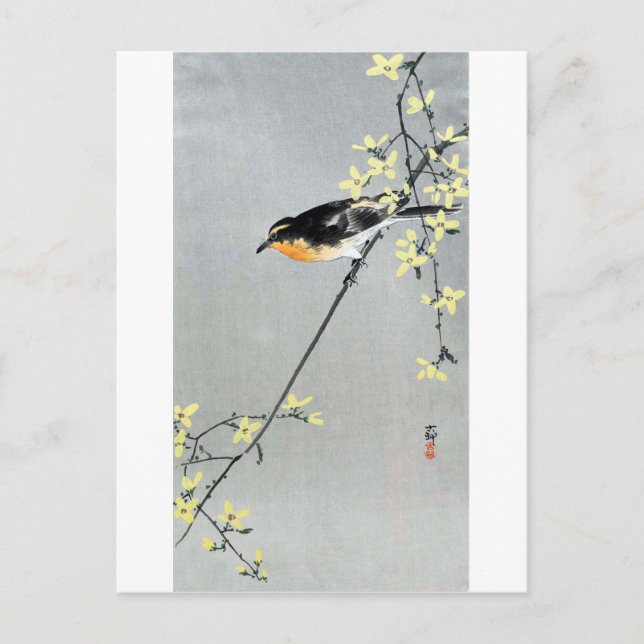 レ ン ギ ョ 小 bud, bud, Bird on Forsythia, Ohara Koson Vykort (Framsida)