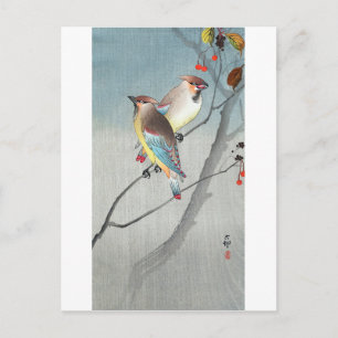 レ ン ジ ク と 赤 budg, budgivningsbud Waxwings with Red Vykort