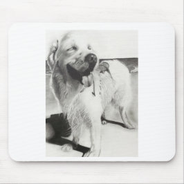 ワンちゃんとの時間 MUSMATTA