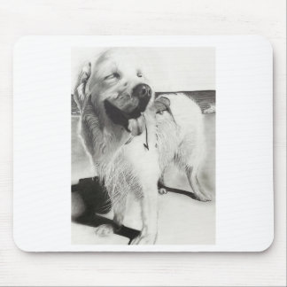 ワンちゃんとの時間 MUSMATTA