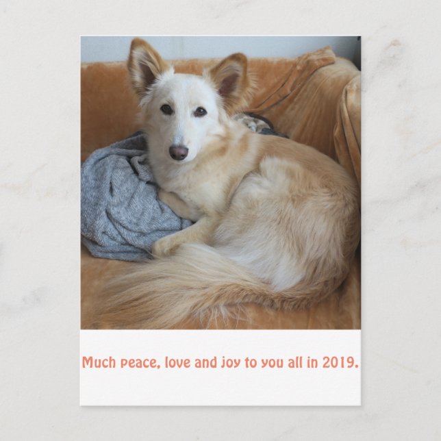 ワ イ ル ミ ッ ク anbudsanbudsförfarande budgivningsbud  vykort (Framsida)