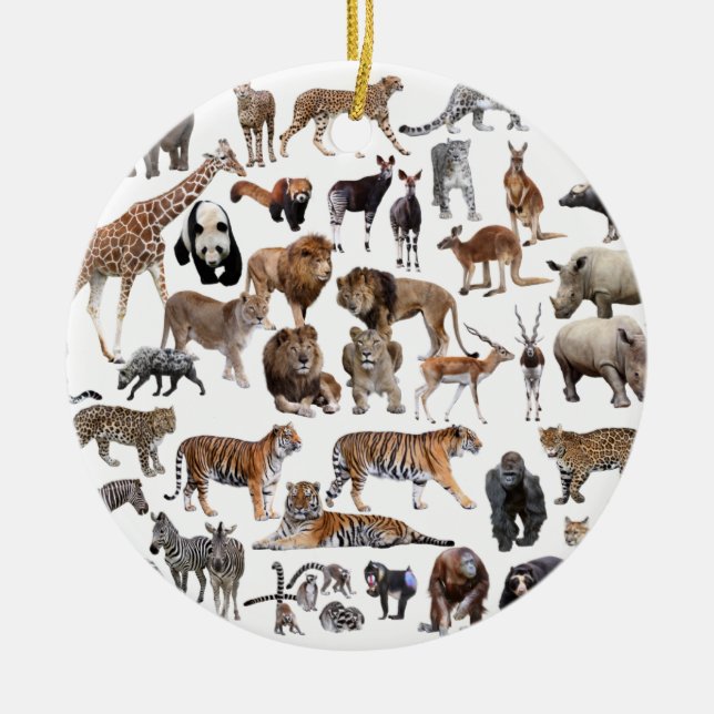 世 界 の 動 物 の anbudssökande julgransprydnad keramik (Framsidan)