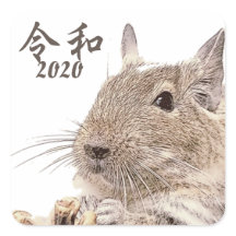 令和2020► DEGU ► Rodents
