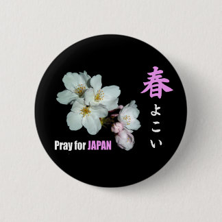 募金用 , Cherry blossoms , 桜 Knapp