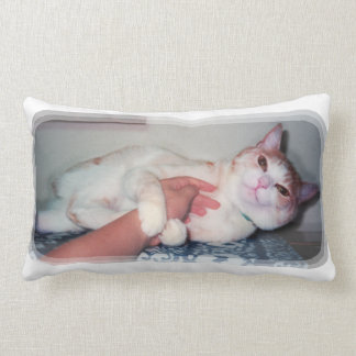 可愛い猫["You can hold me often" a cat 'kawaii'] Lumbarkudde