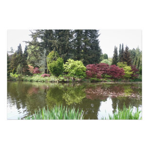 夏 季 美 丽 的 物 öppningar, vackra botaniska trädgårdar fototryck