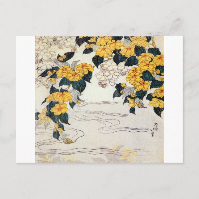 山 吹, 北 Gult Flower, Hokusai, Ukiyo-e Vykort (Framsida)