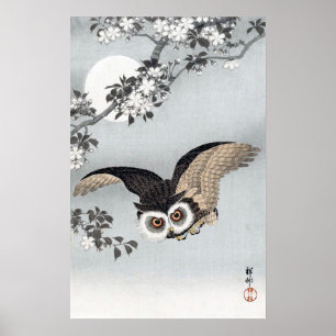月 と フ ロ ウ, 古 anbud flygande Uggla & Måne, Koson, U Poster