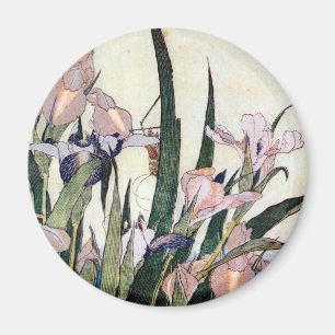 杜 若 と り ぎ り anbud, bud Iris och Grashopper, Hokusa Magnet