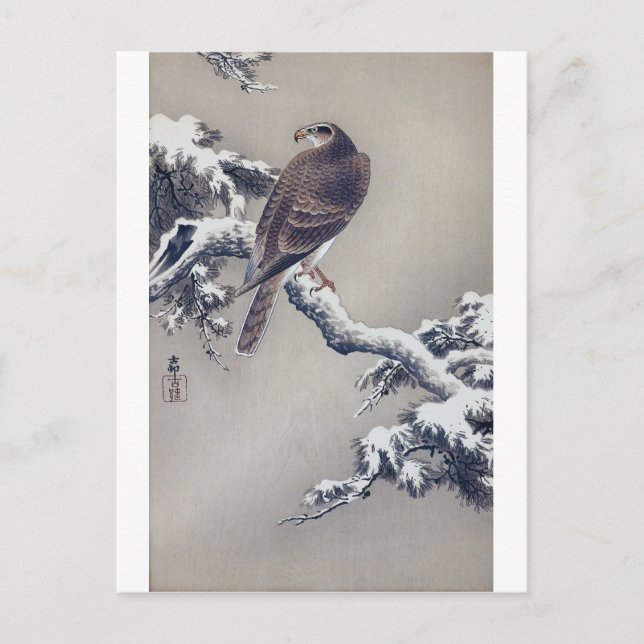 松 に, 古 邨 Hawk på Gräs träd, Ohara Koson, Woodcut Vykort (Framsida)