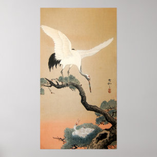 松 鶴, 古 邨 Crane på Gräs Träd, Koson, Ukiyo-e Poster