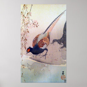 桜 に キ ジ, 古 blommar av fasasant och Cherry, Ohara K Poster