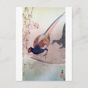 桜 に キ ジ, 古 blommar av fasasant och Cherry, Ohara K Vykort