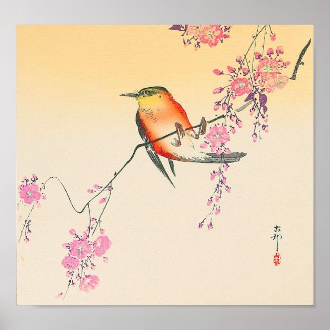 桜 鳥, 小 原 古 Blommarna Bird & Cherry, Ohara Koson Poster (Framsidan)