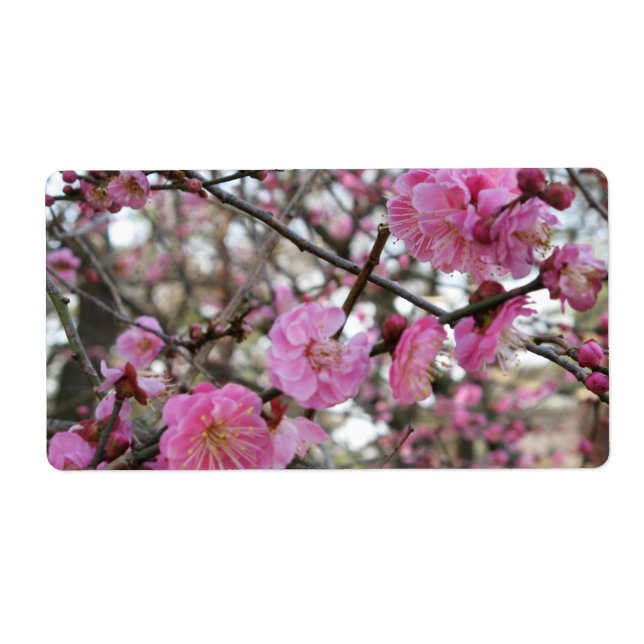 桜 för rosa körsbärsröd blommar-/Sakura/サクラ（) Fraktsedel (Framsidan)