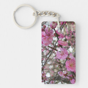 桜 för rosa körsbärsröd blommar-/Sakura/サ