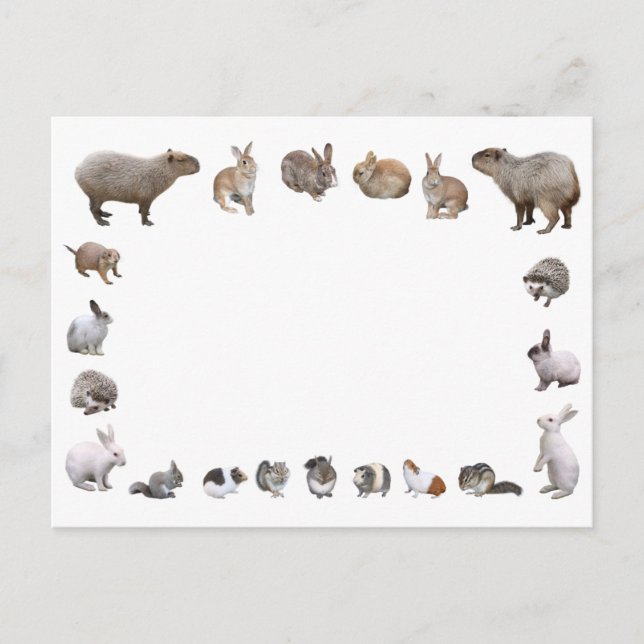 様 々 な 小 動 物 VYKORT (Framsida)