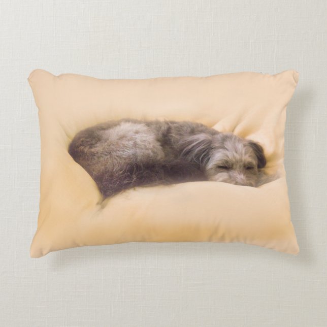 犬の眠り(アクセントクッション) PRYDNADSKUDDE (Framsidan)