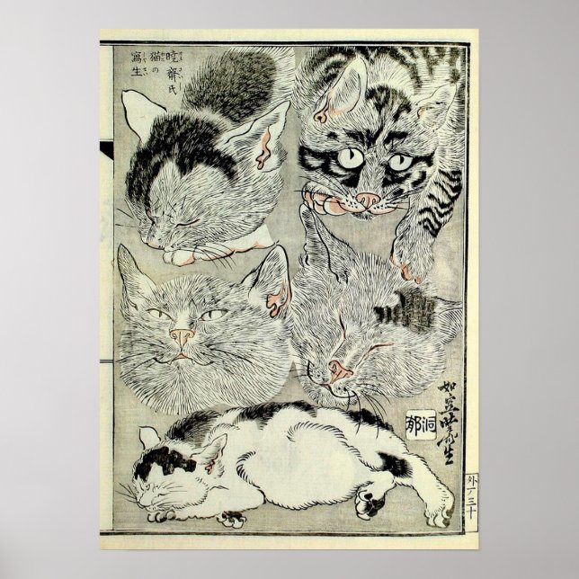 猫, 暁 斎, Kyōsai, Ukiyo-e Poster (Framsidan)