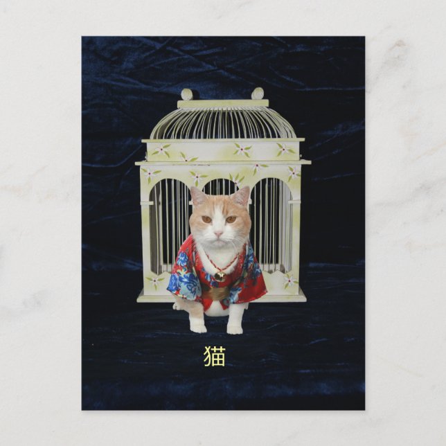 猫 Lucky Cat Vykort (Framsida)
