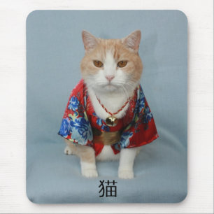 猫 MUSMATTA