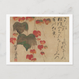 秋 蔦, 乾 hösten Ivy, Kenzan, Japan Art Vykort