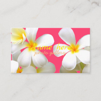 米スタンダード 8.89cm x 5.08cm名刺 名刺 visitkort