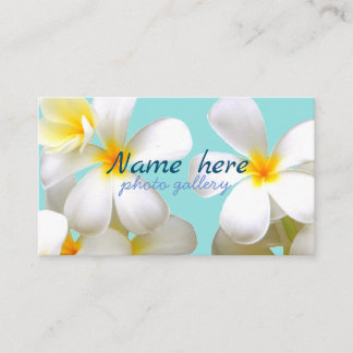 米スタンダード 8.89cm x 5.08cm名刺 名刺 visitkort