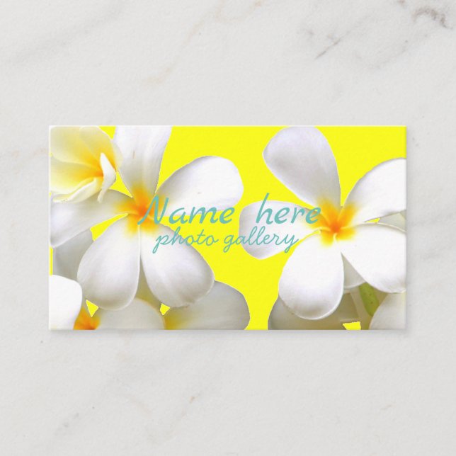 米スタンダード 8.89cm x 5.08cm名刺 visitkort (Framsida)