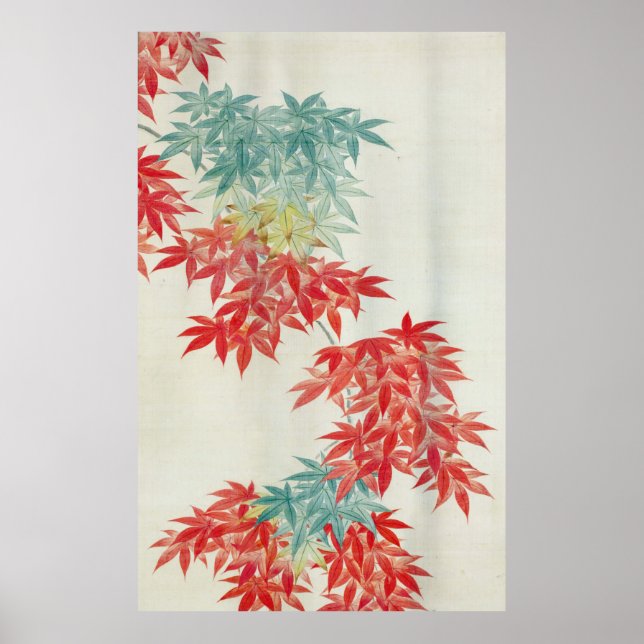 紅 葉, 其 japansk maple träd, Kiitsu Poster (Framsidan)