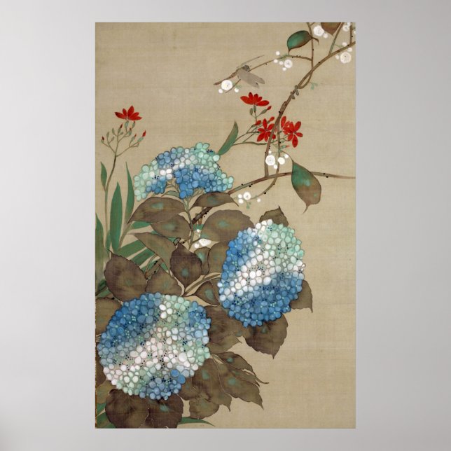 紫 陽 花 と ン ボ, bud ト Hydrangea och Dragonfly, Hōitsu Poster (Framsidan)