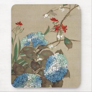 紫 陽 花, 抱 Hydrangea 一 Hōitsu Musmatta