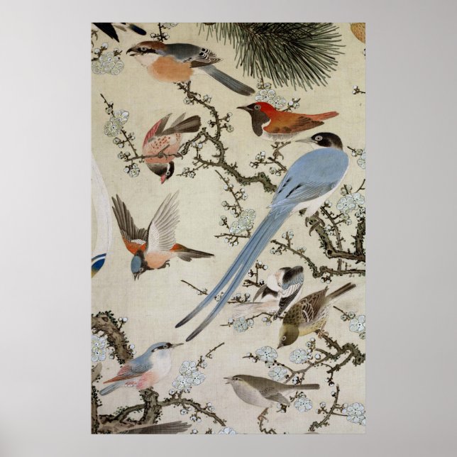 群 図, 中 住 雲, fåglar (detaljuppgifter), Nakazumi Dou Poster (Framsidan)