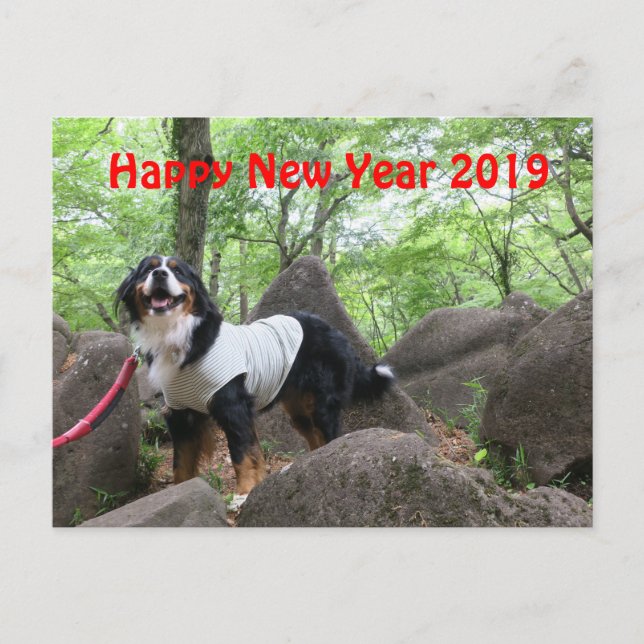 花 音2019年 賀 状 VYKORT (Framsida)