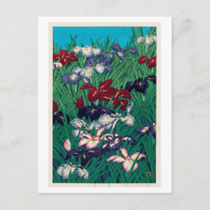 菖蒲 Iris, Hasui Kawase, träsnitt Vykort