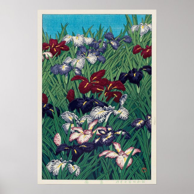 菖, Iris, Hasui Kawase, Woodcut Poster (Framsidan)