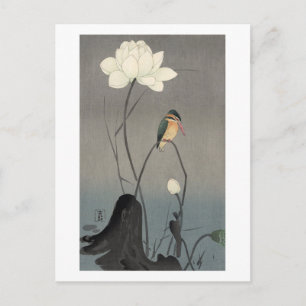 蓮にカワセミ 古邨Kingfisher på lotusblomma, Koson, Ukiyo-e Vykort