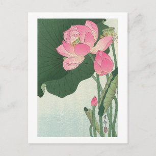 蓮 花, 小 原 古 Lotus-blomman, Ohara Koson, Ukiyo-e Vykort