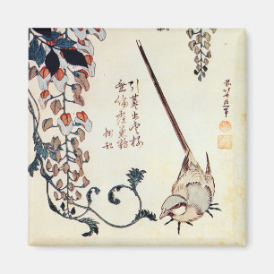 藤 に セ レ イ, 北 budg Wagtail och Wisteria, Hokusai, U Magnet