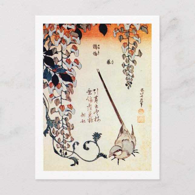 藤 に セ レ イ, 北 budg Wagtail och Wisteria, Hokusai, U Vykort (Framsida)
