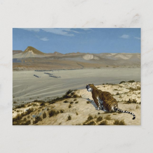 虎 VYKORT (Framsida)