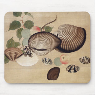 貝, 其 一 skaldjur, Kiitsu Musmatta