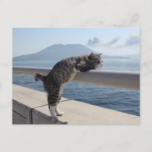 野 良 猫 ニ ャ ン 吉 anbudssökande anbudssökande anbudssö vykort