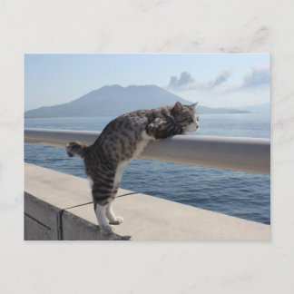 野 良 猫 ニ ャ ン 吉 anbudssökande anbudssökande anbudssö vykort