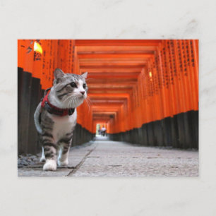 野 良 猫 ニ ャ ン 吉 anbudssökande anbudssökande vykort