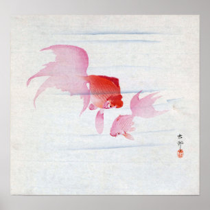 金 魚, 古 goldfiskparker, Koson, Ukiyo-e, träspån Poster