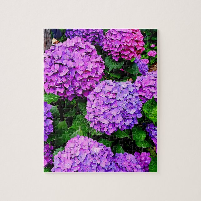 鮮やかなアジサイのパズル A vivid hydrangea puzzle. Pussel (Vertikal)